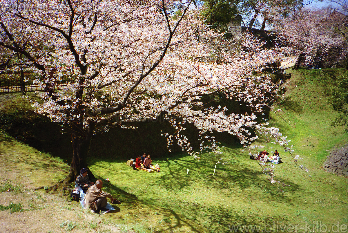 Hanami.