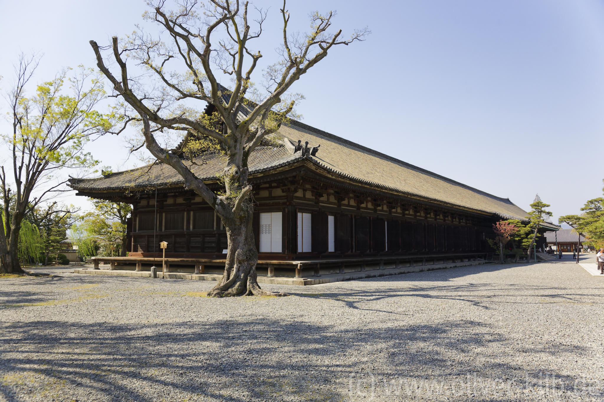 Die Halle des Sanjusangen-Do.