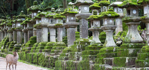 In Nara.