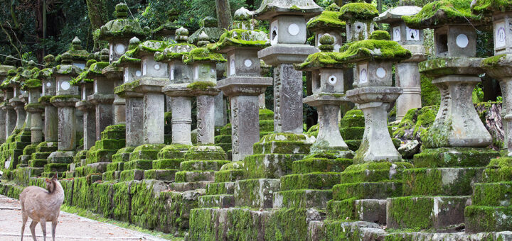 In Nara.