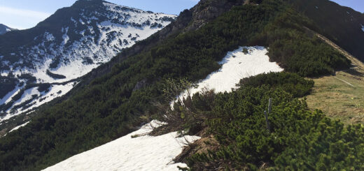 Blick zum Jägerkamp mit Restschnee.