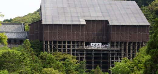 Blick von der Koyasu-Pagode auf die Haupthalle des Kiyomizu-dera.