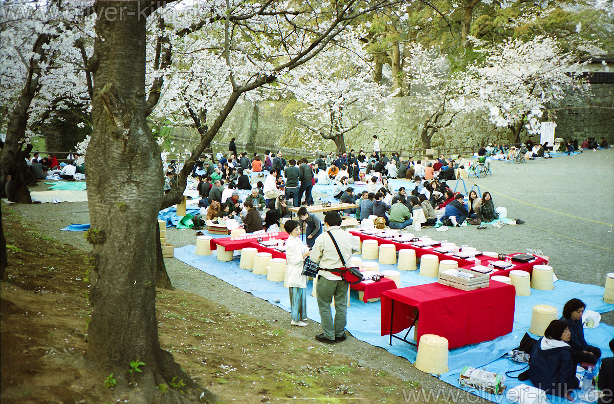 Hanami.