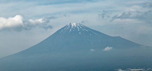 Der Fuji, aus dem fahrenden Zug.