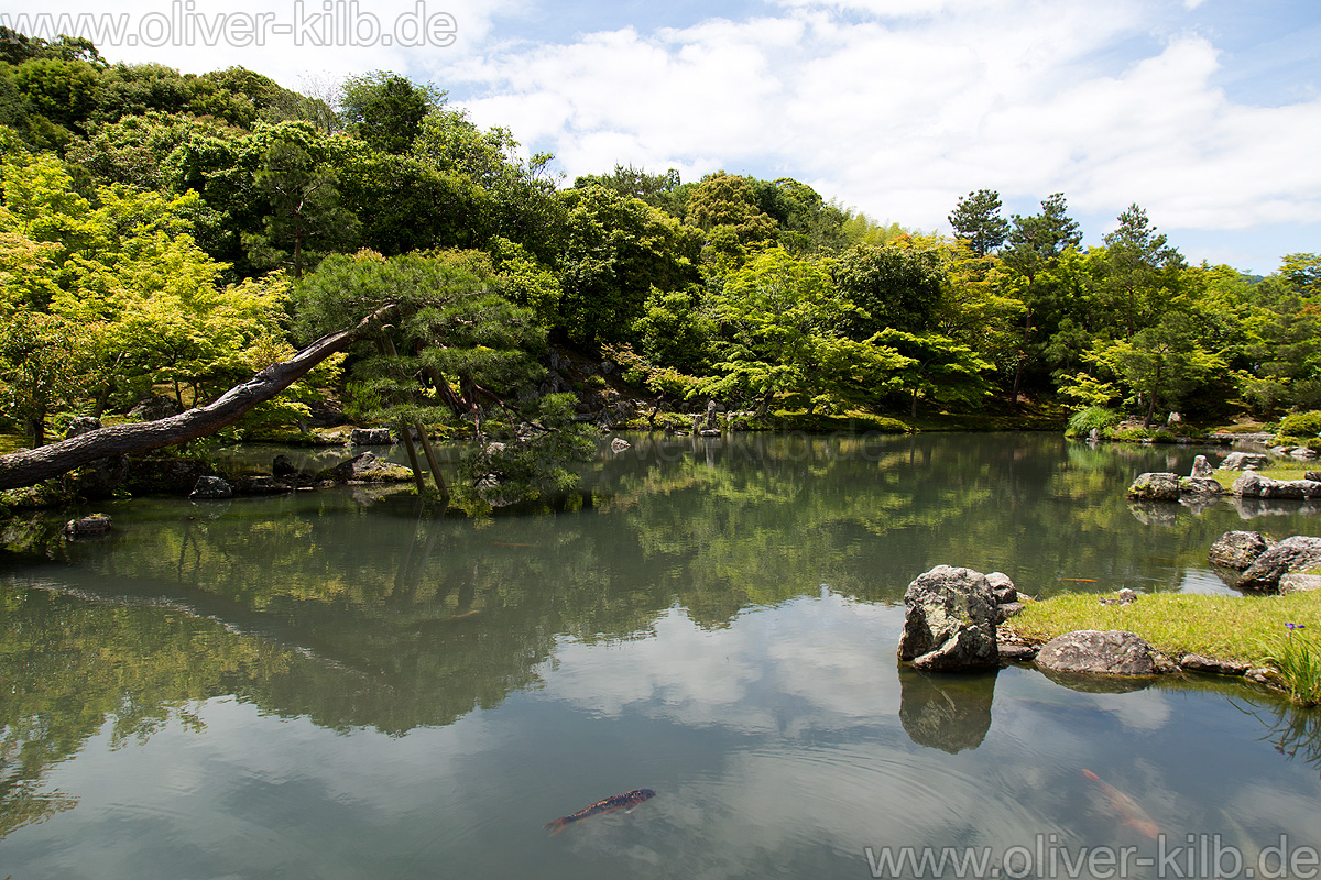 Im Tenryu-Ji.