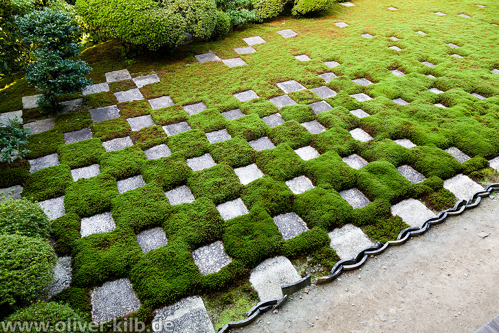 Der Hasso-Garten.