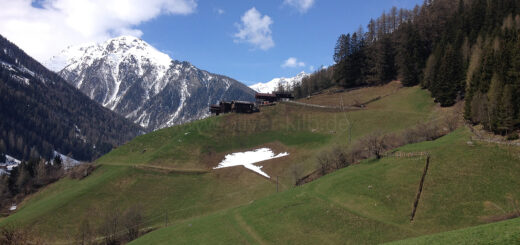 Der Höfeweg, teilweise im Schnee.